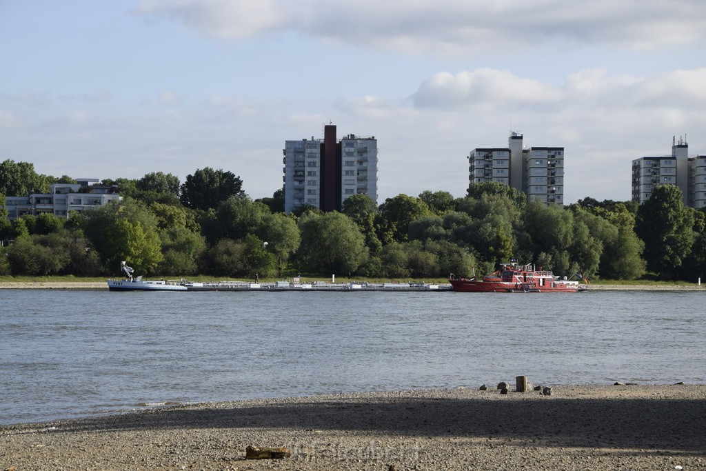 Schiff 1 Koeln in Hoehe der Koelner Zoobruecke P003.JPG - Miklos Laubert